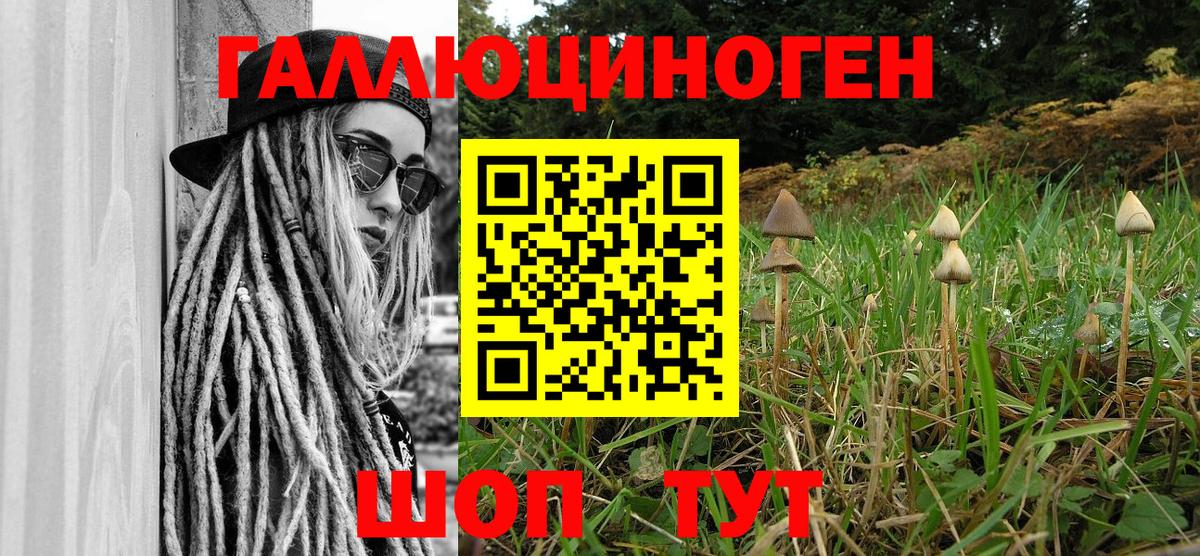 продажа наркотиков  Галлюциногенные грибы GOLDEN TEACHER  Вход с VPN  Дубна  Псилоцибиновые грибы Psilocybine cubensis 